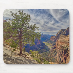 Zion Canyon uitzicht vanaf Angels Landing Muismat