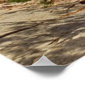 Zion Canyon uitzicht vanaf Angels Landing Poster (Hoek)