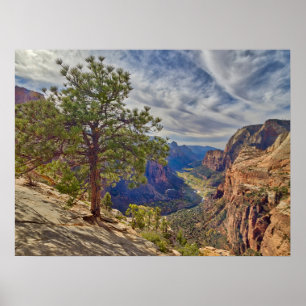 Zion Canyon uitzicht vanaf Angels Landing Poster