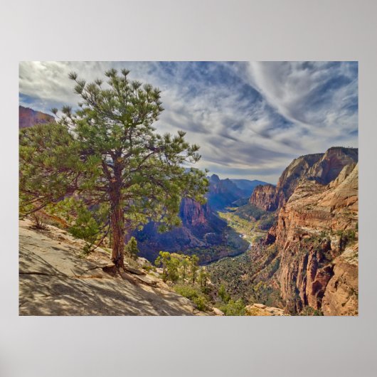 Zion Canyon uitzicht vanaf Angels Landing Poster (Voorkant)