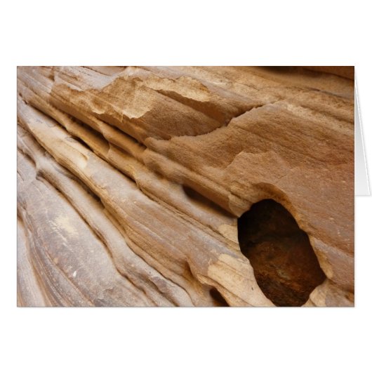 Zion Canyon Wall I Abstracte Natuur Fotografie (Voorkant Horizontaal)