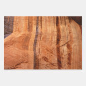 Zion Canyon Wall I Abstracte Natuur Fotografie Inpakpapier Vel (Voorkant 3)