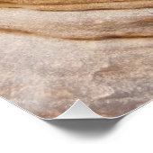 Zion Canyon Wall I Abstracte Natuur Fotografie Perfect Poster (Hoek)