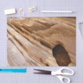 Zion Canyon Wall I Abstracte Natuur Fotografie Tissuepapier (Craft)