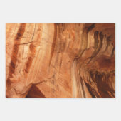 Zion Canyon Wall II Red Rock Abstracte fotografie Inpakpapier Vel (Voorkant 2)