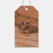 Zion Chipmunk op Red Rocks Cadeaulabel (Voorkant)