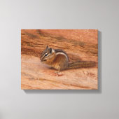 Zion Chipmunk op Red Rocks Canvas Afdruk (Voorkant)
