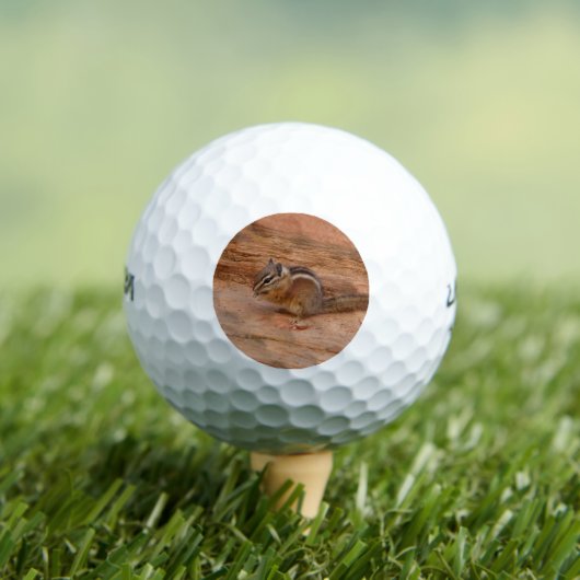 Zion Chipmunk op Red Rocks Golfballen (Insitu Shirt)
