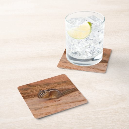 Zion Chipmunk op Red Rocks Kartonnen Onderzetters (Insitu)