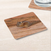 Zion Chipmunk op Red Rocks Kartonnen Onderzetters (Schuin)