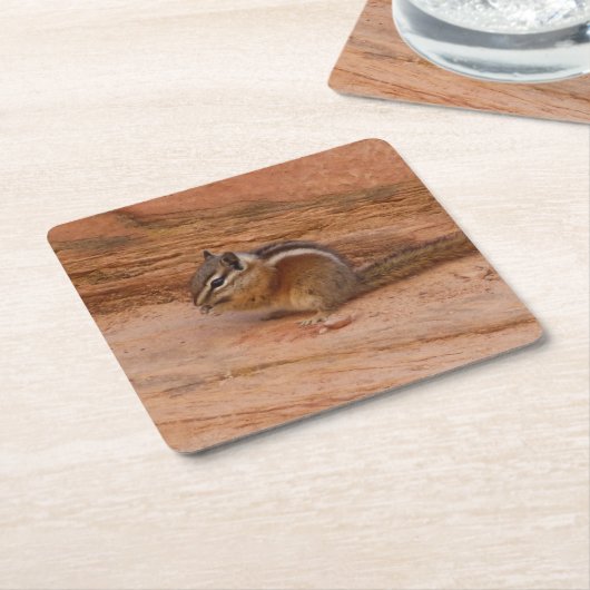 Zion Chipmunk op Red Rocks Kartonnen Onderzetters (Schuin)
