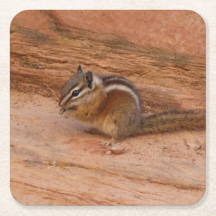 Zion Chipmunk op Red Rocks Kartonnen Onderzetters