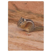 Zion Chipmunk op Red Rocks Klembord (Achterkant)