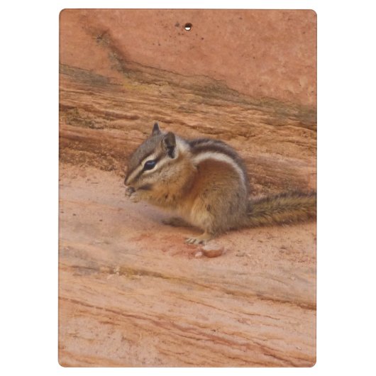 Zion Chipmunk op Red Rocks Klembord (Achterkant)