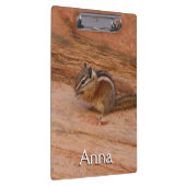 Zion Chipmunk op Red Rocks Klembord (Rechts)