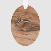 Zion Chipmunk op Red Rocks Ornament (achterkant)