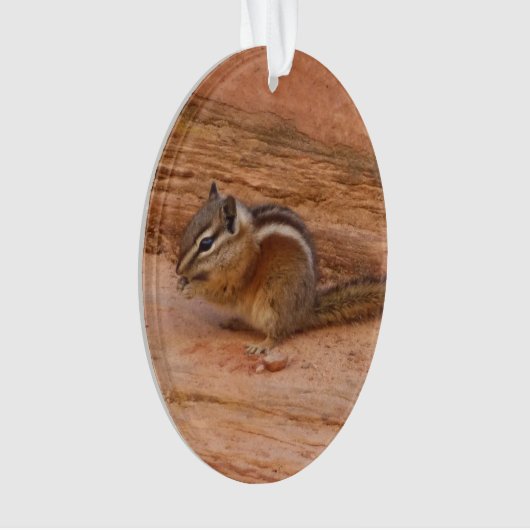 Zion Chipmunk op Red Rocks Ornament (voorkant)