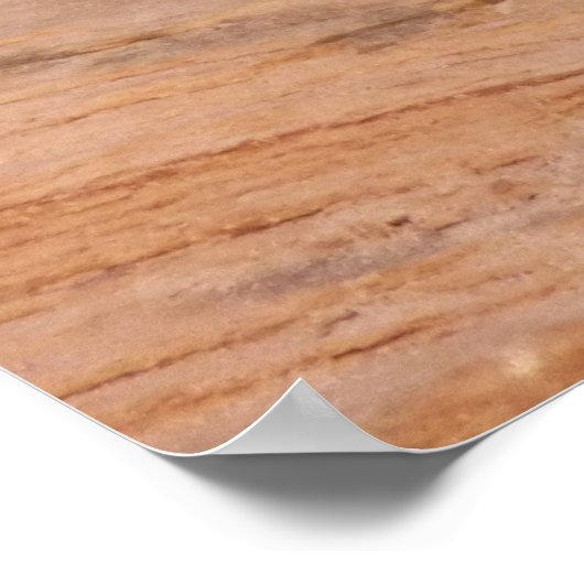 Zion Chipmunk op Red Rocks Poster (Hoek)