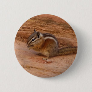 Zion Chipmunk op Red Rocks Ronde Button 5,7 Cm