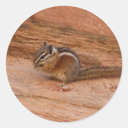 Zion Chipmunk op Red Rocks Ronde Sticker (Voorkant)