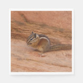 Zion Chipmunk op Red Rocks Servet (Voorkant)