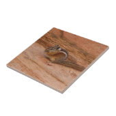 Zion Chipmunk op Red Rocks Tegeltje (Zijkant)