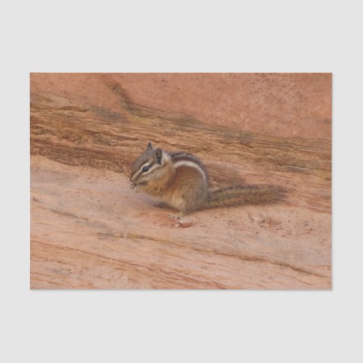 Zion Chipmunk op Red Rocks Tissuepapier (Voorkant)