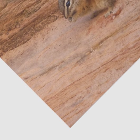 Zion Chipmunk op Red Rocks Tissuepapier (Detail)