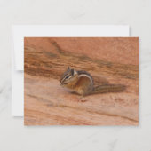Zion Chipmunk op Rode Rotsen (Voorkant)