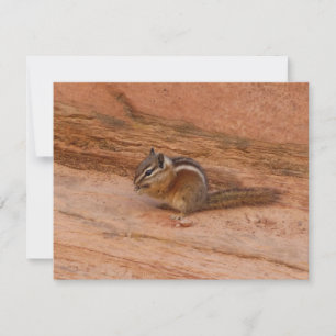 Zion Chipmunk op Rode Rotsen