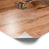 Zion Chipmunk op Rode Rotsen Foto Afdruk (Hoek)
