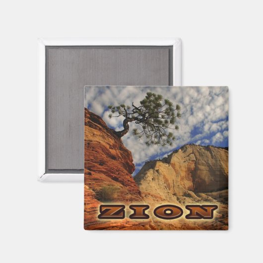 Zion Magnate Magneet (Voorkant / Achterkant)