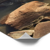 Zion Mountain Stream poster (Hoek)