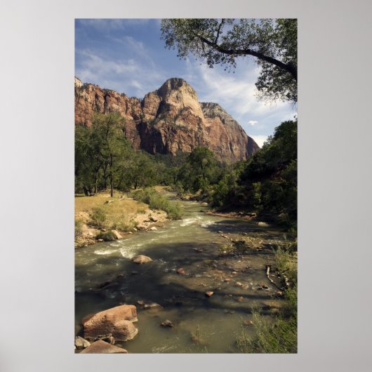Zion Mountain Stream poster (Voorkant)