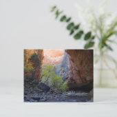 Zion Narrows Briefkaart (Staand voorkant)