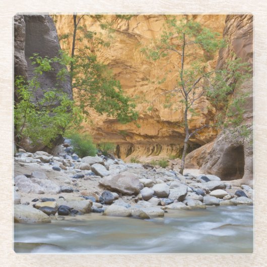 Zion Narrows Glazen Onderzetter (Voorkant)
