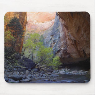 Zion Narrows Muismat
