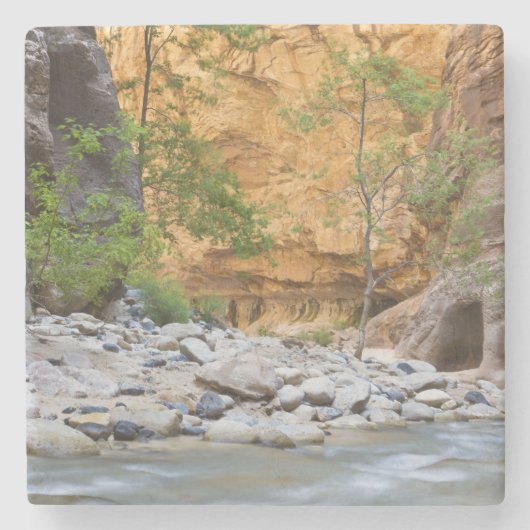 Zion Narrows Stenen Onderzetter (Voorkant)