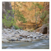 Zion Narrows Tegeltje (Voorkant)