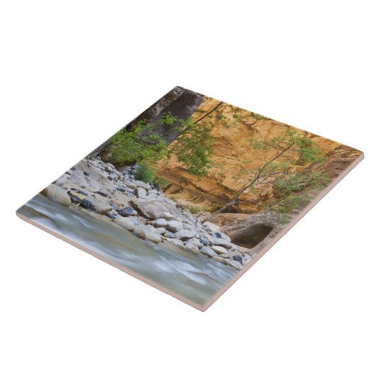 Zion Narrows Tegeltje (Zijkant)