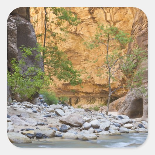 Zion Narrows Vierkante Sticker (Voorkant)