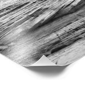 Zion National Park Bonsai Tree Black en White Foto Afdruk (Hoek)