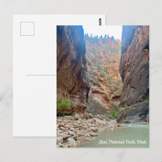 Zion National Park Briefkaart (Voorkant / Achterkant)