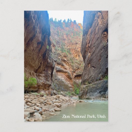 Zion National Park Briefkaart (Voorkant)
