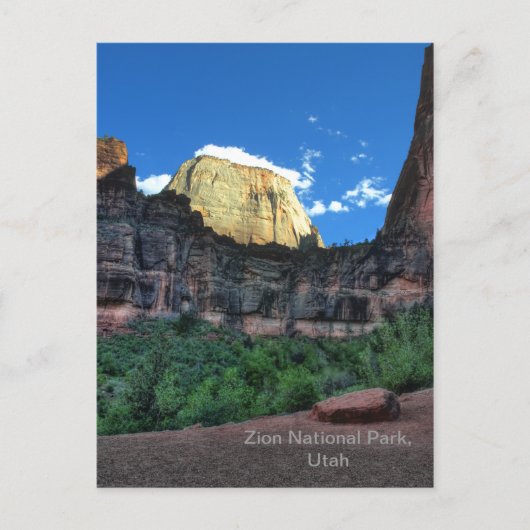 Zion National Park Briefkaart (Voorkant)