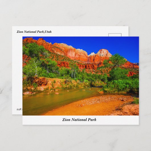 Zion National Park Briefkaart (Voorkant / Achterkant)