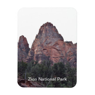 Zion National Park Magnet Magneet