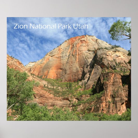 Zion National Park Poster (Voorkant)