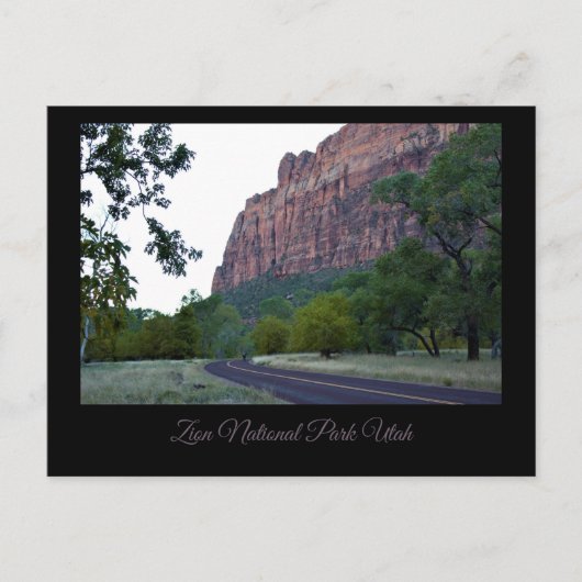 Zion National Park Roadway Briefkaart (Voorkant)