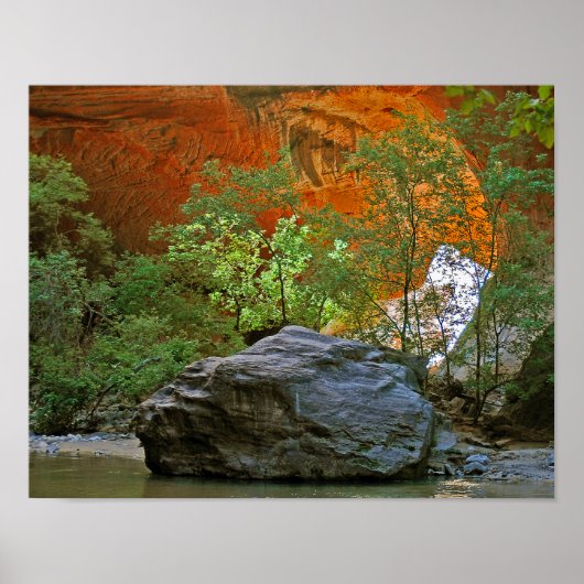 Zion National Park Rock in de Maagd Poster (Voorkant)